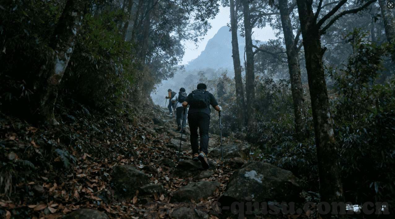世界杯巴西小组第几-巴西在世界杯小组中的表现